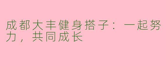 成都大丰健身搭子:一起努力,共同成长