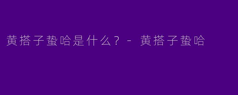 黄搭子蛰哈是什么？