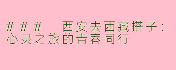 ### 西安去西藏搭子：心灵之旅的青春同行