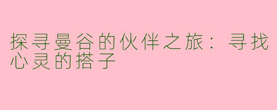 探寻曼谷的伙伴之旅：寻找心灵的搭子