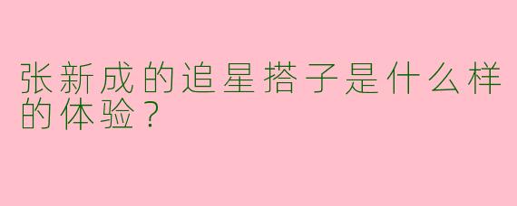 张新成的追星搭子是什么样的体验?