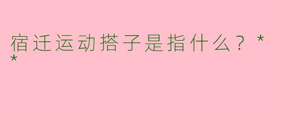 宿迁运动搭子是指什么？**