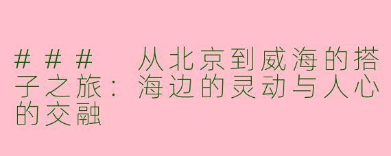 ### 从北京到威海的搭子之旅：海边的灵动与人心的交融