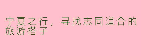 宁夏之行，寻找志同道合的旅游搭子