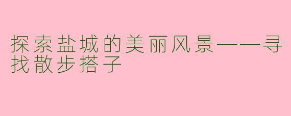 探索盐城的美丽风景——寻找散步搭子