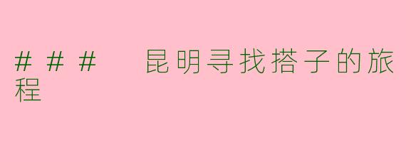 ### 昆明寻找搭子的旅程