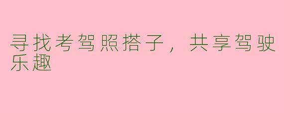 寻找考驾照搭子,共享驾驶乐趣
