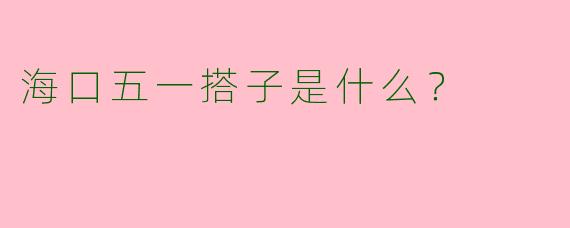 海口五一搭子是什么？