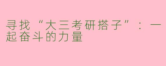 寻找“大三考研搭子”：一起奋斗的力量