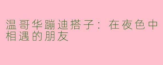 温哥华蹦迪搭子：在夜色中相遇的朋友