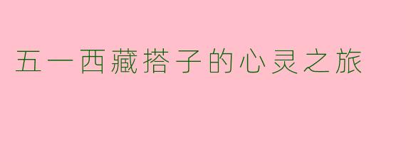 五一西藏搭子的心灵之旅