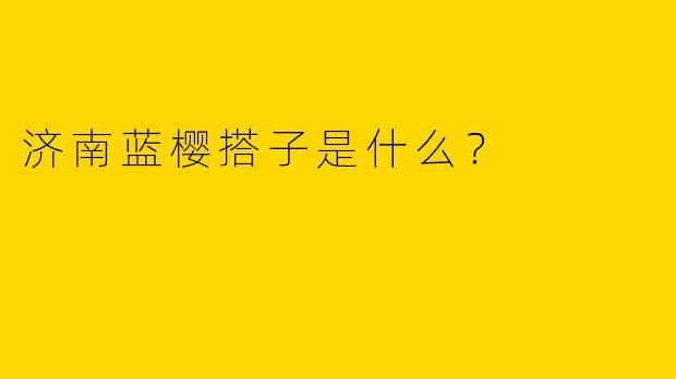 济南蓝樱搭子是什么？  