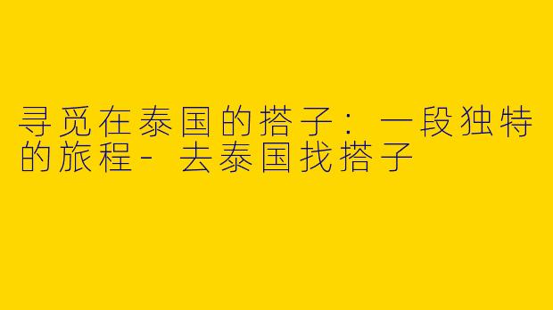 寻觅在泰国的搭子：一段独特的旅程-去泰国找搭子