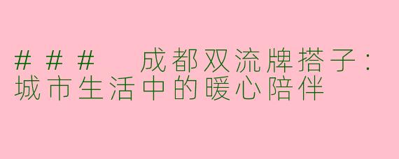 ### 成都双流牌搭子：城市生活中的暖心陪伴