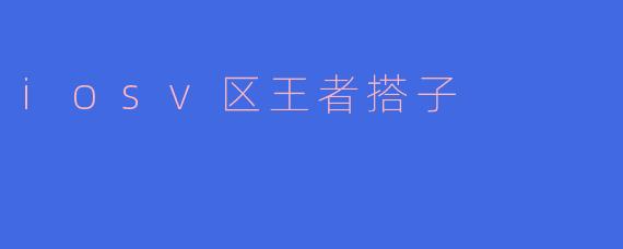什么是“iosv区王者搭子”，它有什么特别之处？