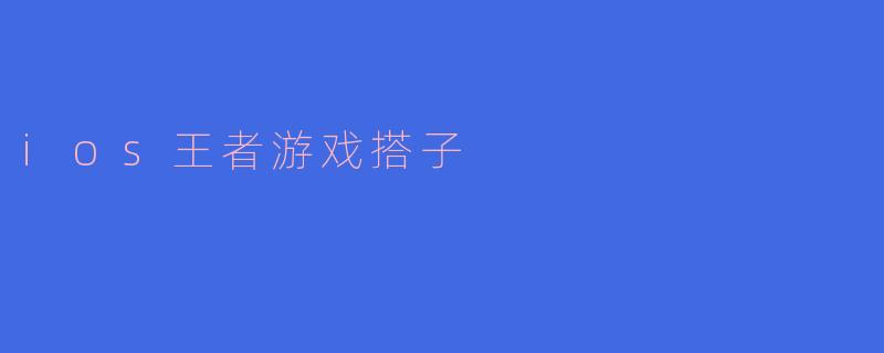### 探寻“iOS王者游戏搭子”的乐趣与意义