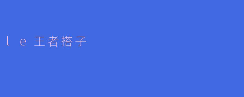 探索“le王者搭子”——游戏中的伙伴情谊