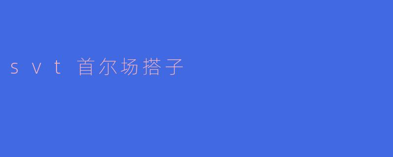 SVT在首尔的演唱会找搭子怎么找比较好?