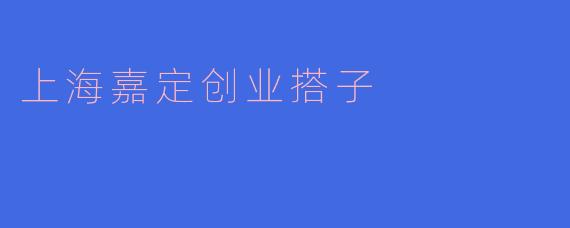 上海嘉定创业搭子