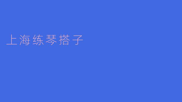 上海练琴搭子