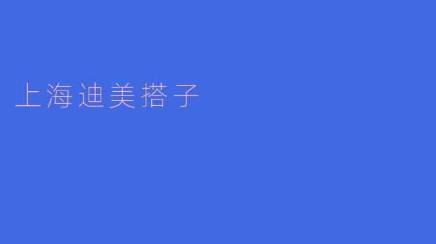 上海迪美搭子:享受美食与文化的完美结合