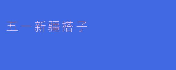 五一新疆搭子