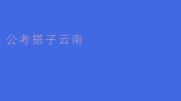 什么是“公考搭子云南”？**