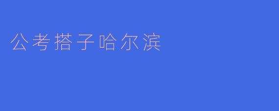 公考搭子在哈尔滨有什么优势？**