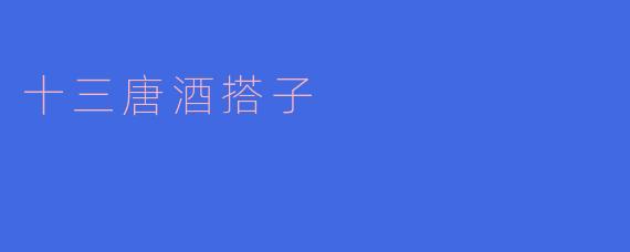 十三唐酒搭子是什么？有什么特别之处？