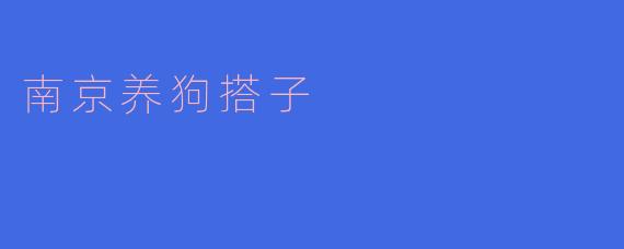 ### 南京养狗搭子：共享快乐与责任
