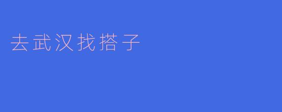 去武汉找搭子有什么好的建议吗?****