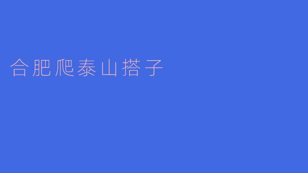 合肥爬泰山搭子