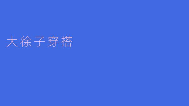 大徐子的穿搭风格是什么样的?