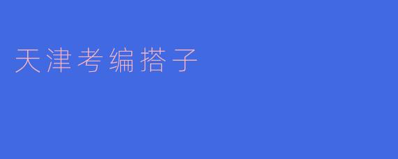 天津考编搭子的崛起：携手并进，共同奋斗的力量