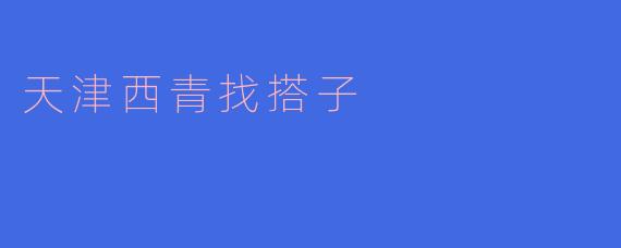 天津西青找搭子