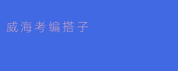 威海考编搭子