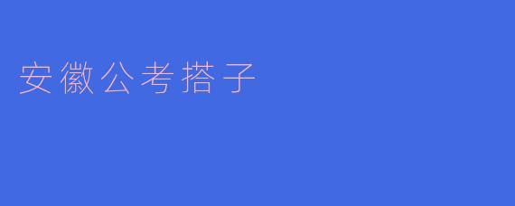 安徽公考搭子
