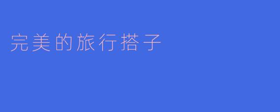 你心目中的完美旅行搭子应该具备哪些特质?