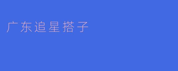 什么是“广东追星搭子”？****