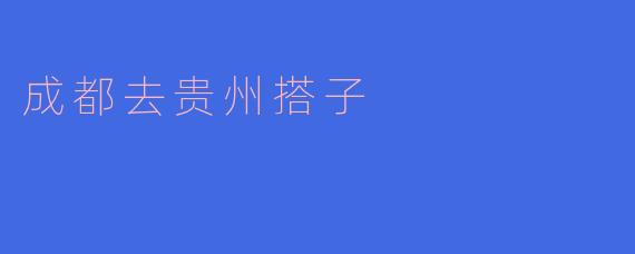 成都去贵州搭子