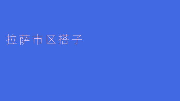 ### 探索拉萨市区的“搭子”文化