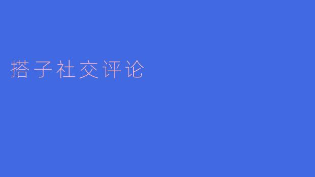 搭子社交评论