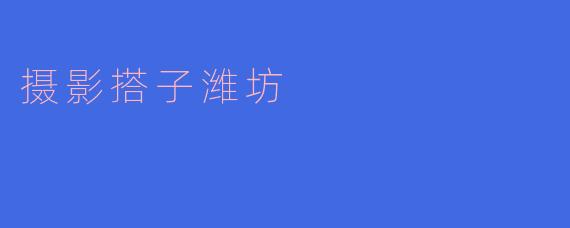探索美丽潍坊的摄影搭子,捕捉每一个瞬间