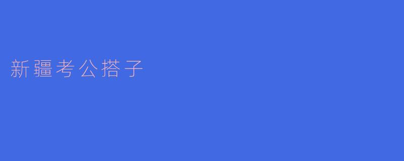 新疆考公搭子:一起追梦,共同奋斗的伙伴