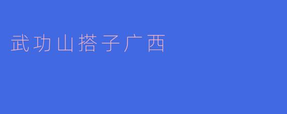 武功山搭子广西