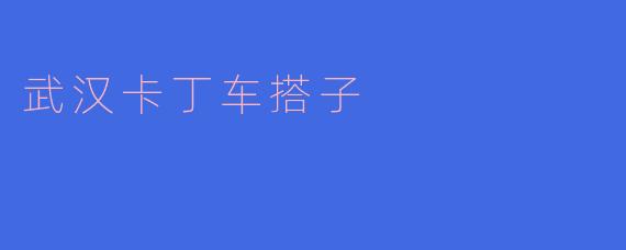 ### 探秘武汉卡丁车搭子:速度与激情的完美结合