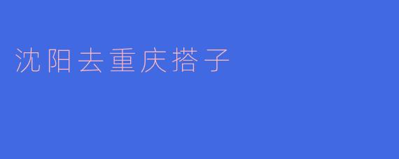 沈阳去重庆搭子