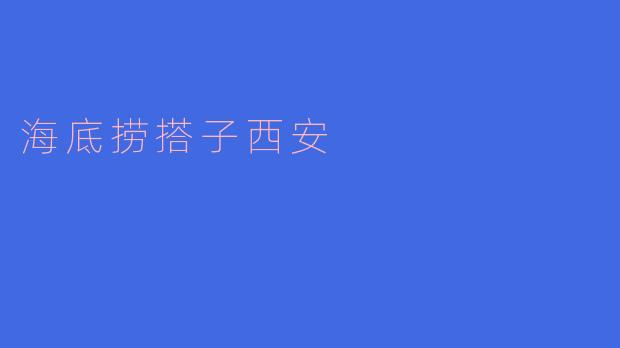 海底捞搭子西安
