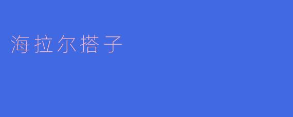 海拉尔搭子的温暖与情谊