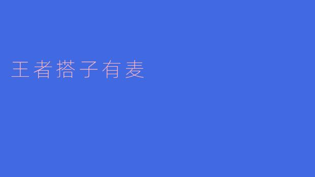 王者搭子有麦